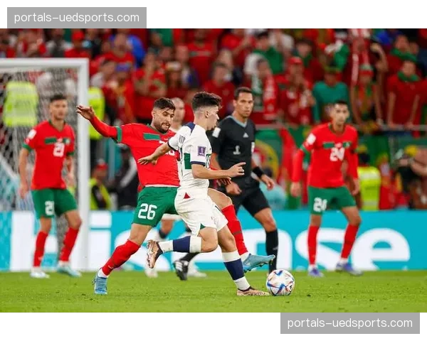 摩洛哥对阵厄瓜多尔战术解析，阿特拉斯雄狮铁血防守迎战南美铁闸